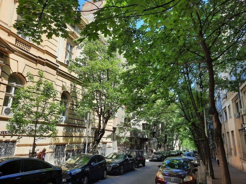 Apartment 51 - Bright, Spacious, Lux 1 Bedroom In The City Center - Stari Grad 베오그라드 외부 사진